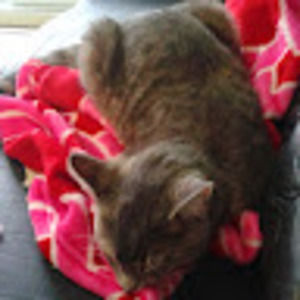 Meet your Posher, Marie-jo-anne